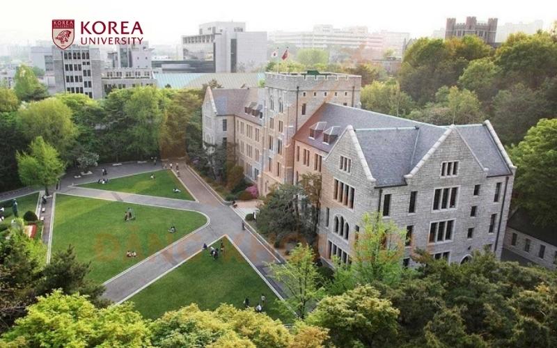 고려대학교
